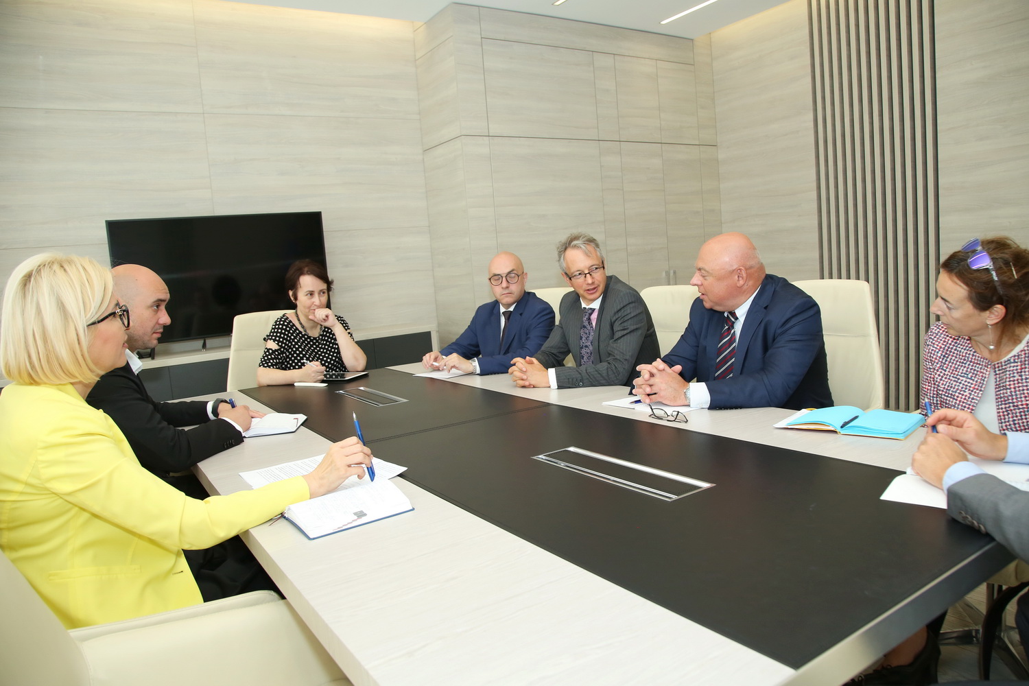 Глава Гагаузии Ирина Влах встретилась с делегацией Организации по ...